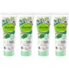 alverde Cosmetico naturale 5 in 1 Dentifricio Nanaminze, confezione da 4 dentifricio (4 x 75 ml), 300 ml