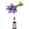 Il Regno Vegetale Olio essenziale 100% Puro LAVANDA ALTA MONTAGNA Naturale Uso Interno/Esterno (10 ml)