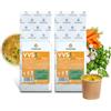VENESSA VVS1 - Brodo vegetale fine, 2 x 1 kg, in polvere per zuppa, vegetabile, zuppa per macchina vegetariana, zuppa di verdure senza grumi, preparazione rapida, adatta per macchine automatiche