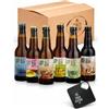 Klein Duimpje Birra Senza Glutine Artigianale - Box Degustazione 6 Birre Europee | IPA, Tripel, Weizen, Belgian Blonde, Amber Ale, Golden Lager | Birrificio Klein Duimpje dal 1994 | 6x33cl con Apribottiglie