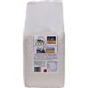 MOLINO PARRI S.R.L. Farina di grano antico Gentil Rosso da kg 1
