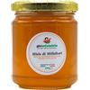 sapori mediterranei Miele di Millefiori Artigianale - Puro e Aromatico 100% Naturale - Concediti Coccole di Natura (250 GR) - Sapori Mediterranei