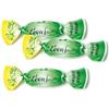 Generico LEONE Caramelle Leonsnella alla MENTA - Senza Zuccheri Senza Glutine Senza Coloranti - 2 Sacchetti da 500 grammi - Totale 1 kg -