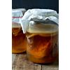 Kombuchaorganic Scoby organico per Kombucha certificato di medie dimensioni, con liquido forte preparatore di RawCultures® Lab, testato da UKAS LAB (ALS Global)