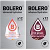 Generico SET 24 BOLERO bustine da 3 grammi 12 Ice Tea Peach Pesca + 12 Red Grape Uva Rossa Preparato istantaneo per Bevande con Stevia e Vitamina C e Senza Zucchero