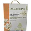 CASALBORDINO PINOT GRIGIO TREBBIANO IGT TERRE DI CHIETI BAG IN BOX 3 LT