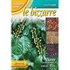 Generic SEMENTI DI CAFFE' arabica orto giardino semi fiori seeds