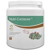 Bioges Nutri Cactacee 0,5 kg concime per Piante grasse