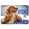 Crazy Family Shop Cartello, Targa ATTENTI AL CANE da Cancello GOLDEN RETRIEVER cm 30 x 21,5