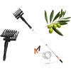 myself 21 SHOP® Abbacchiatore e scuotitore elettrico telescopico per olive a batteria 12V 400W fino a 1000 battiti al minuto scuotiolive leggero ergonomico e maneggevole incluso di cavi con morsetto