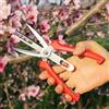 DOUFAN Forbici per sfoltire Frutta e Fiori a Doppia Porta, Forbici per potatura da Giardino con Impugnatura Comoda, perfette per Tagliare Piante, Erbe idroponiche, Raccogliere Fiori