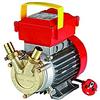 ROVER POMPE Elettropompa Autoaspirante per Vino Latte Olio Bisquet in Acciaio Hp 0,6 BE-M25