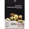 Llamentol Adoptar A Una Esposa [Import espagnol]