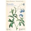 Carthago Myosotis. Non ti scordar di me