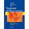 Springer Treatment of Elbow Lesions: New Aspects in Diagnosis and Surgical Techniques [Lingua inglese]