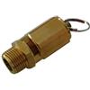 Ani AH043301 Valvola Sicurezza per Compressore