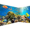 murando PREMIUM Carta da parati Mondo Sottomarino 550x250 cm Fotomurali in TNT Murale alla moda Decorazione da Muro XXL Poster Gigante Design Carta per parete Oceano Pesci Acquario b-A-0002-a-b