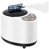 Duoruameng Generatore di vapore per sauna, 1000W - 3 litri Portatile Generatore di vapore per sauna per casa con timer e display LED e telecomando, 9 livelli di temperatura per bagno turco
