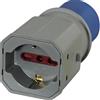bricoleva.it Adattatore Spina Industriale per aziende, ufficio o casa - Materiale Elettrico riduzione spina schuko (Bipasso Shuko)