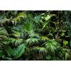 murando - Carta da parati 3D Effetto Giungla 450x315 cm Fotomurali in TNT Murale alla moda Decorazione da Muro XXL Poster Gigante Design Carta per Pareti Fogliame tropicale Monstera b-B-0312-a-a