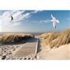murando Carta da parati Mare Spiaggia 500x350 cm Fotomurali in TNT Murale alla moda Decorazione da Muro XXL Poster Gigante Design Cameretta Carta per pareti Mouettes Uccelli Paesaggio c-C-10027-a-a