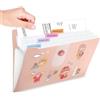 Generic Cartella Espandibile a Fisarmonica, Organizer Portadocumenti Portatile con Etichette, per Casa, Università, Scuola, Ufficio (Rosa, 5 Tasche con Adesivo)