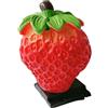 Snorvixre Supporto protettivo per fotocamera, accessori decorativi, bel motivo di frutta, protezione per flash per più modelli DSLR, protezione per scarpe da fotocamera