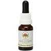 Australian Bush Flower Essences Freshwater Mangrove 15ml stock Australian Bush Flower Essences