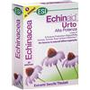 Galderma Echinaid Urto 30cps