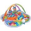 Playgro Tappeto da Gioco Cavallo Clip Clop, Tappeto Musicale, A Partire dalla Nascita, Multicolore, 40203