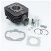 P2R cilindro p2r (motorizzato) per peugeot 50 ludix one biposto dal 2007 al 2014 nuovo