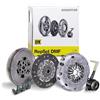 LuK Kit frizione 600037100 | Compatibile con: AUDI A3, A3, A3 Cabriolet, A3 Cabriolet, A3 Limousine, A3 Sportback, A3 Sportback, Q2, Q3, Q3, SEAT ALHAMBRA