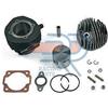 Dr. Hessel's KT00014 GRUPPO TERMICO CILINDRO D.55 120CC Piaggio Ape 50 TM P 50 2T