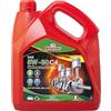 Rhütten Olio Motore Rhutten, Sintetico, 5W-30 C4 4L