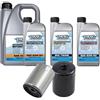 Generico Drag Specialties Kit di Manutenzione, Olio Motore 20w50 - Primaria e Trasmissione e 1 Filtro Olio Cromato per Harley Softail 1984-1999,