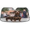 RPLIFE Parasole per parabrezza auto, divertente cane bassotto, copertura pieghevole per finestrino anteriore, riflettore parasole per auto, 140 x 70 cm