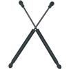 Generico Pistoncini Per Smart Per Fortwo Per City Coupe 450 451 Roadster 452 2 Pezzi Ammortizzatore A Gas Per Portellone Posteriore Per Bagagliaio Auto Ammortizzatori Baule(For Fortwo 450)