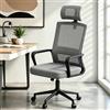 naspaluro Sedia da Ufficio Ergonomica con Supporto Lombare, Poltrona da Ufficio in Rete Traspirante, Regolabile in Altezza di 10 cm, Grigio Scuro