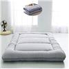 WSGJHB Materasso a pavimento tatami spesso, a prova di umidità, caldo, pieghevole, per letto singolo, matrimoniale, materasso futon, dormitorio per studenti, D, 120 x 200 cm