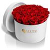 Aluisi Fiori - 20 Rose Rosse Stabilizzate - Box Bianca - Idea Regalo Elegante per San Valentino o momenti d'Amore intensi.
