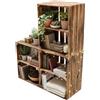 Teramico Cassette in legno flamberizzate come libreria/scaffalatura, 50 x 40 x 30 cm, con ripiano/ripiano centrale, massiccia e stabile