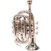 ONLIEST OVERSEAS Tromba tascabile in Sib con bocchino e custodia per il trasporto, argento