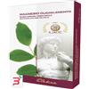 SALUSAREA SRLS MAGNESIO OLIGOELEMENTO 20 FIALE DA 2 ML