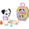 Simba Pamper Petz Cane Dalmata, con accessori, Rivelazione di genere, Certificato di adozione, +3 anni, 105950207
