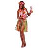 Carnival Toys Carnival 4678 - Hawaii Gonna Rafia Multicolor, 45 cm.