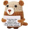 Generico Supporto emotivo positivo in lontra | Regalo di supporto emotivo fatto a mano | Animali all'uncinetto positivo | divertente per le donne uomini di famiglia Insegnante presente