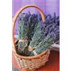 FiXizy Lavanda in un cestino intrecciato - Puzzle in legno da 500 pezzi - Pezzi spessi e robusti per il gioco in famiglia