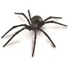 Collecta Insetti (L): Aracne Vedova Nera 14x2,8cm