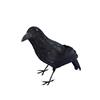 Smiffys Corvo, Nero, Con piume, 33cm Halloween