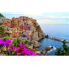 Maimeili Puzzle da 500 Pezzi Gioco di Famiglia Stimolante Arte Vivace con Paesaggi Città Animali Temi Vacanzieri Carta Riciclata Premium Senza Polvere Dimensioni Finali 46x28 cm